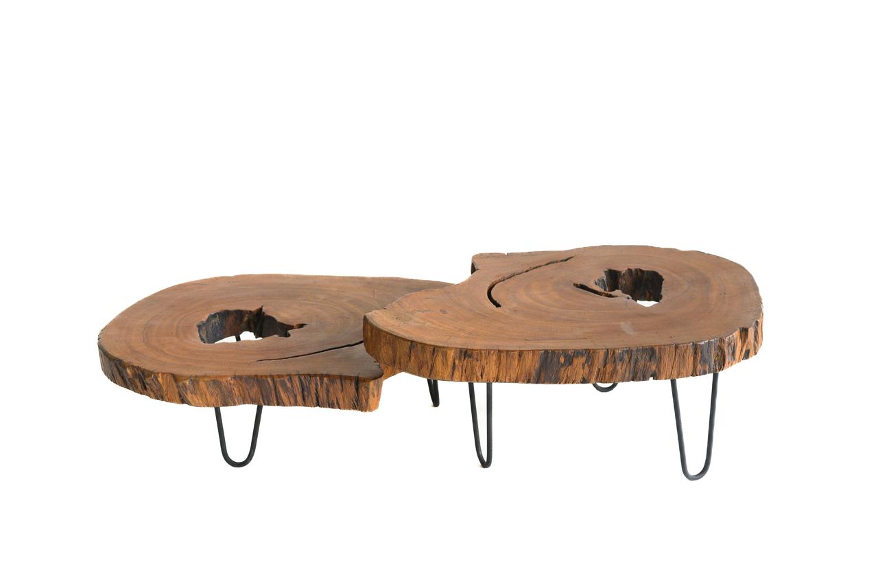 Mesa de Centro Tora Natureza.  - Galeria
